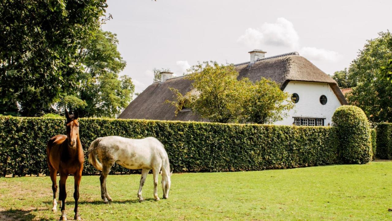 Bed and Breakfast Truyenhof Bree Exterior foto